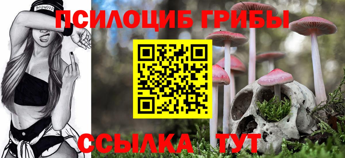 Ступино  Галлюциногенные грибы Cubensis  Вход с VPN 